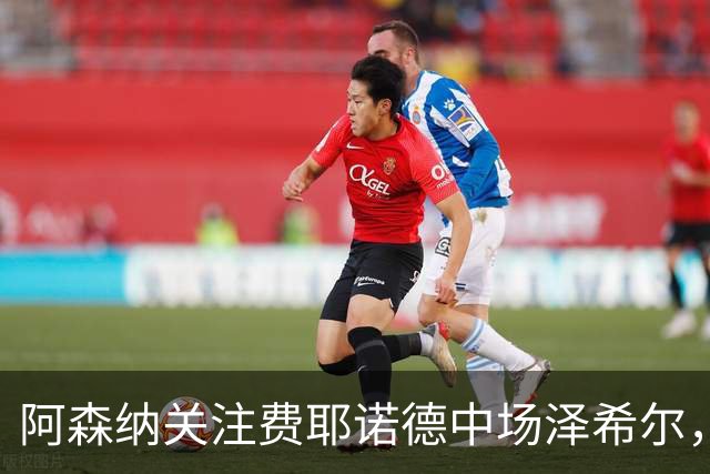 阿森纳关注费耶诺德中场泽希尔，切尔西也在考察